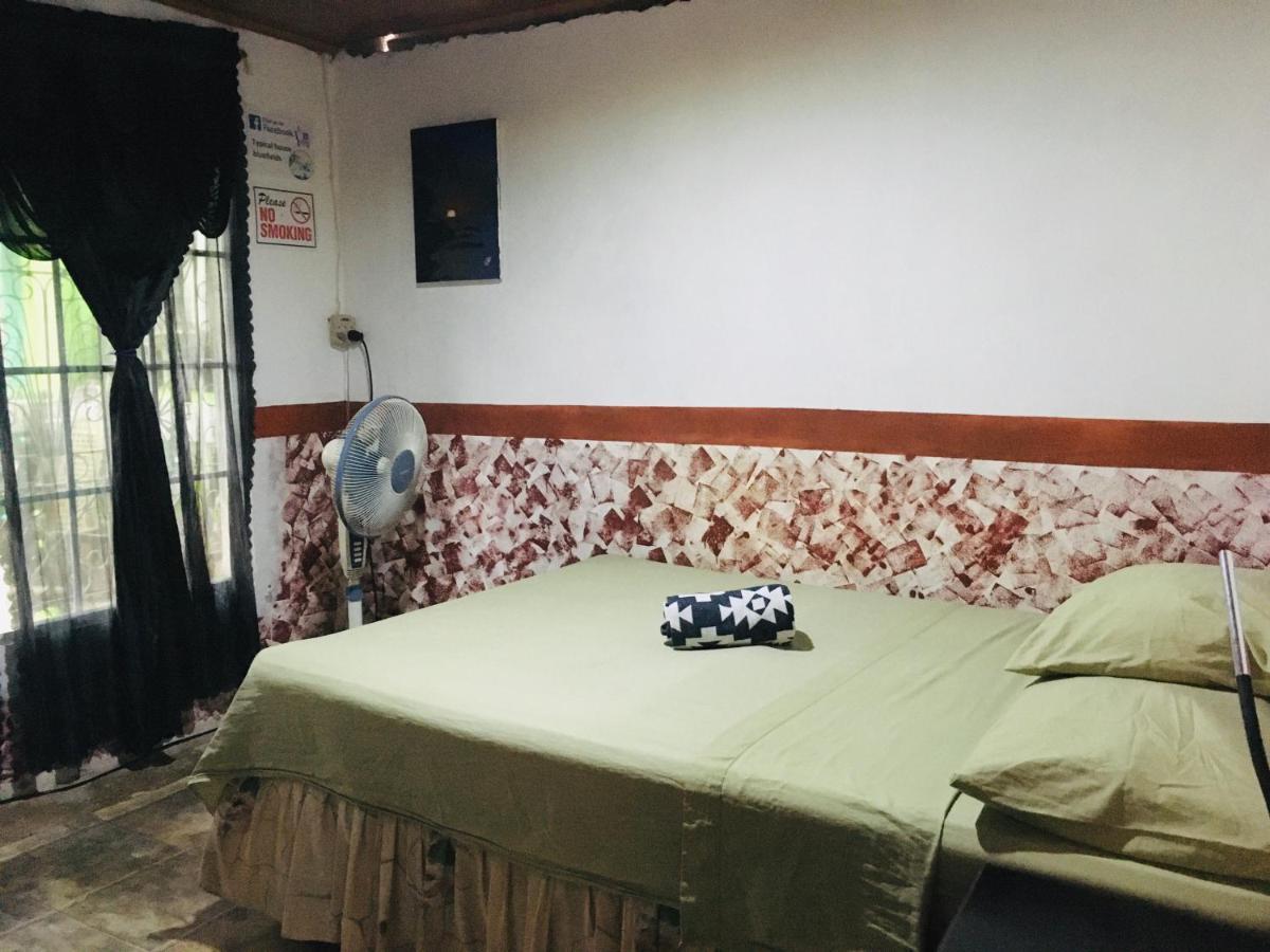 Typical House Bluefields Apartamento Exterior foto
